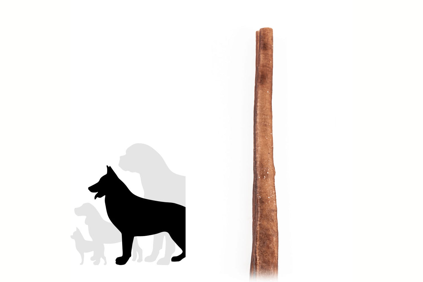 Bully stick - 12 pouces