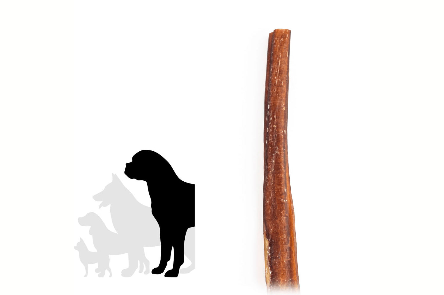 Bully stick - 12 pouces