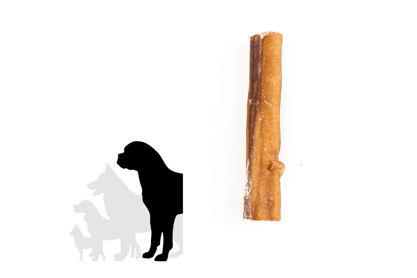 Bully stick - 6 pouces