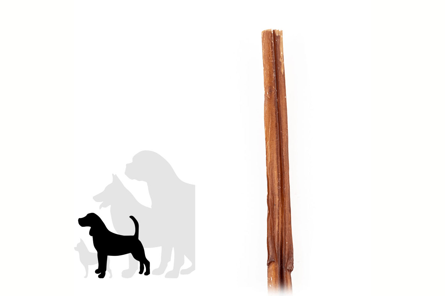 Bully stick - 12 pouces