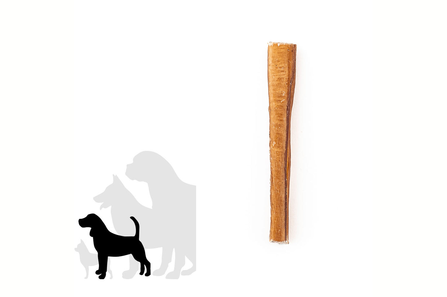 Bully stick - 6 pouces