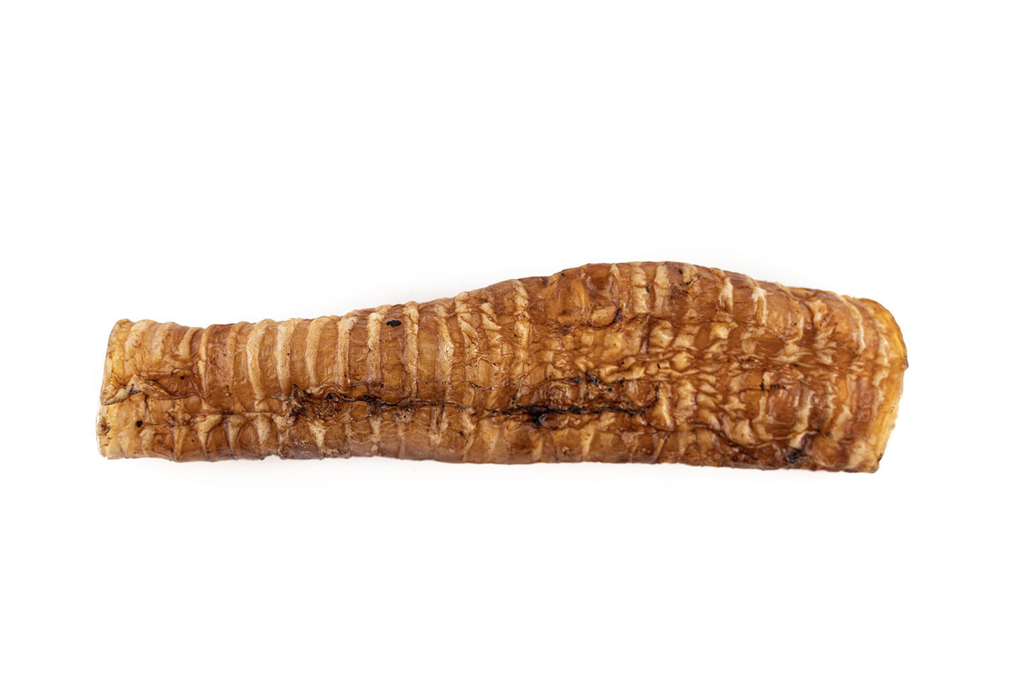 Trachée de veau 9po
