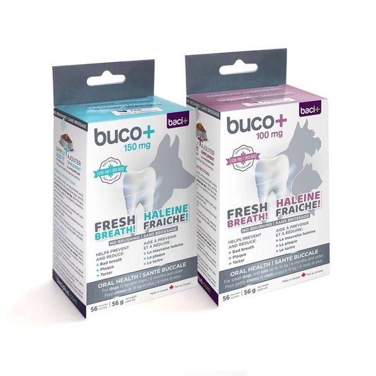 Soins buccodentaires Buco+